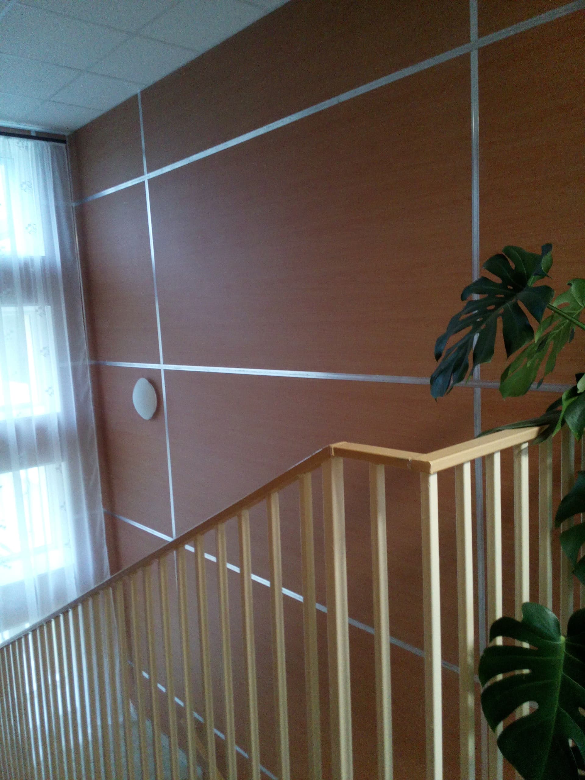 Миколаївський дитячий будинок - фото 5