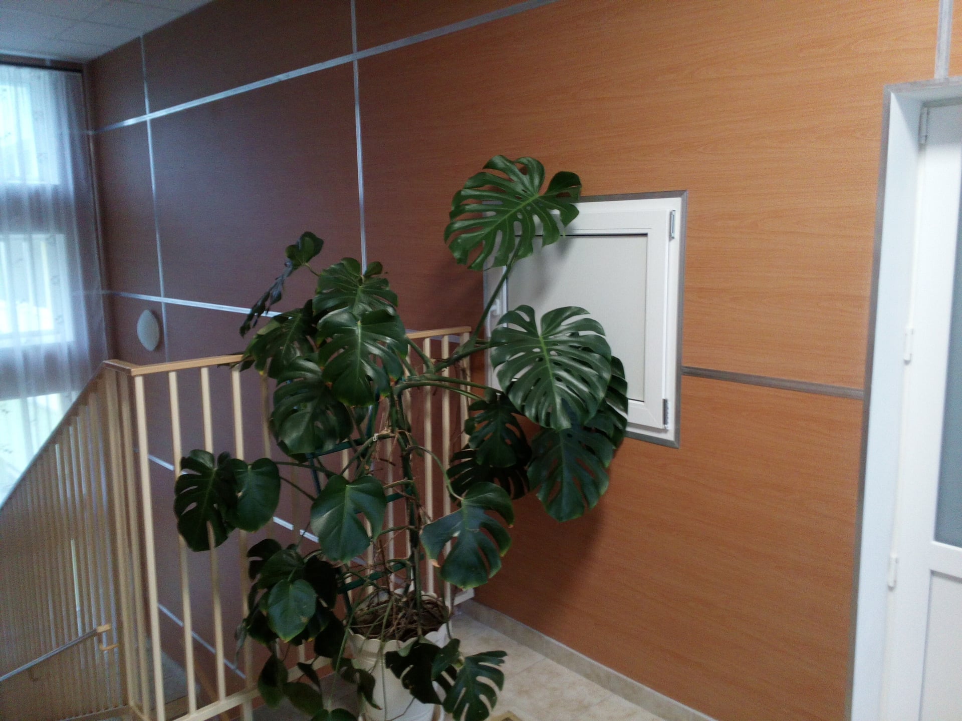 Миколаївський дитячий будинок